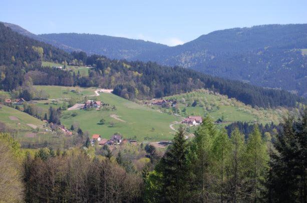 Ferienhof Fischer Seebach Exterior foto