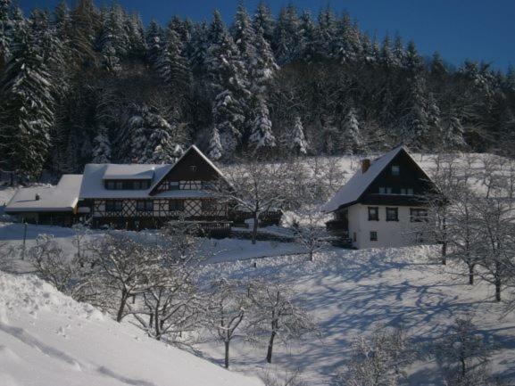 Ferienhof Fischer Seebach Exterior foto