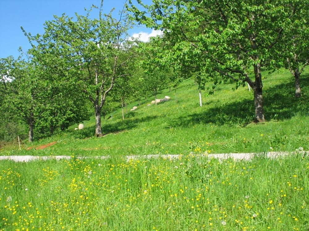 Ferienhof Fischer Seebach Exterior foto