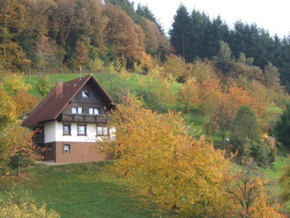 Ferienhof Fischer Seebach Exterior foto